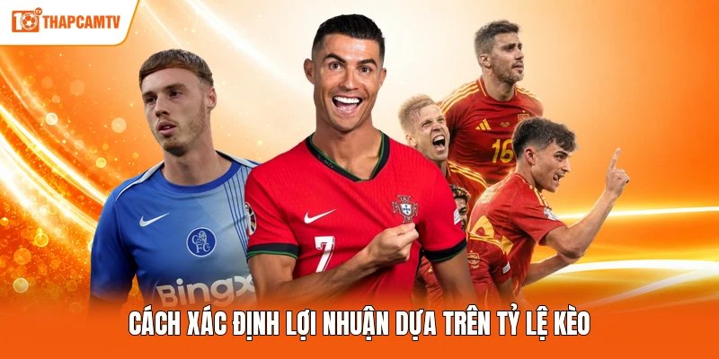 Cách xác định lợi nhuận dựa trên tỷ lệ kèo