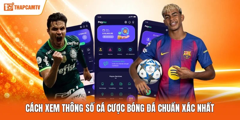 Cách xem thông số cá cược bóng đá chuẩn xác nhất