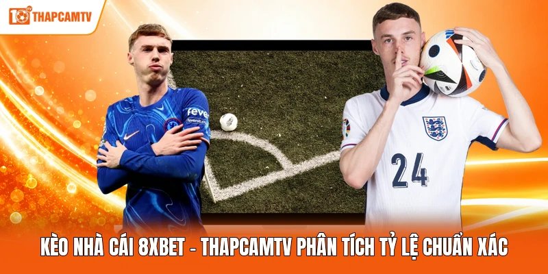 Kèo Nhà Cái 8xbet - ThapcamTV Phân Tích Tỷ Lệ Chuẩn Xác