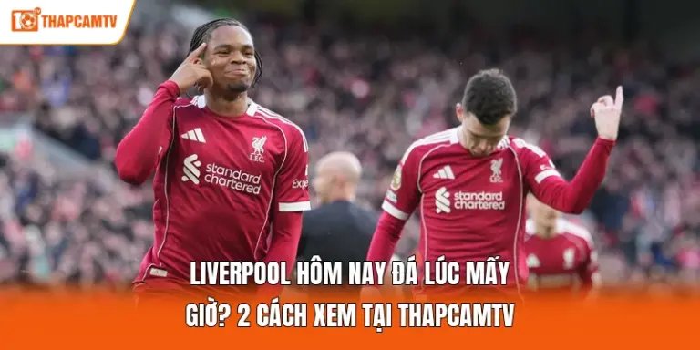 Liverpool Hôm Nay Đá Lúc Mấy Giờ? 2 Cách Xem Tại ThapcamTV