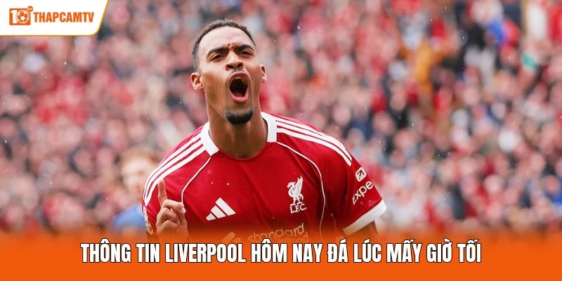 Thông tin Liverpool hôm nay đá lúc mấy giờ tối