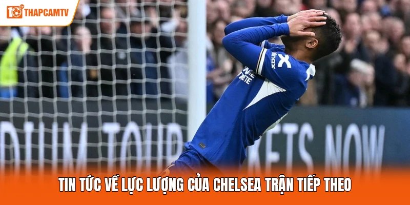 Tin tức về lực lượng của Chelsea trận tiếp theo