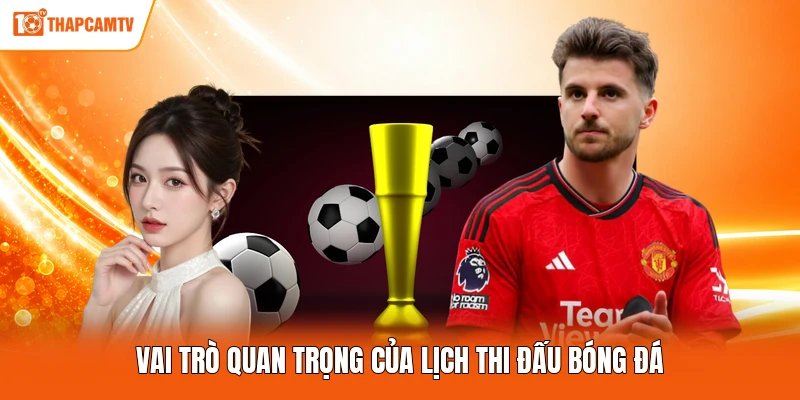 Vai trò quan trọng của lịch thi đấu bóng đá