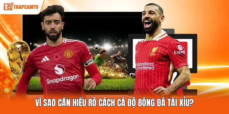 Vì sao cần hiểu rõ cách cá độ bóng đá tài xỉu?